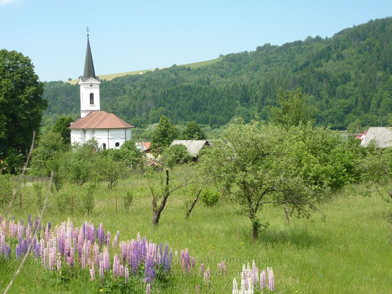 View of back St. John the Baptist Greek Catholic Church
